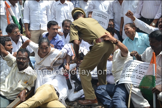 congress protest 1 5